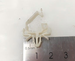 Linh kiện Glory Counter GFS-120-89 9*13Φ5*2 Snap